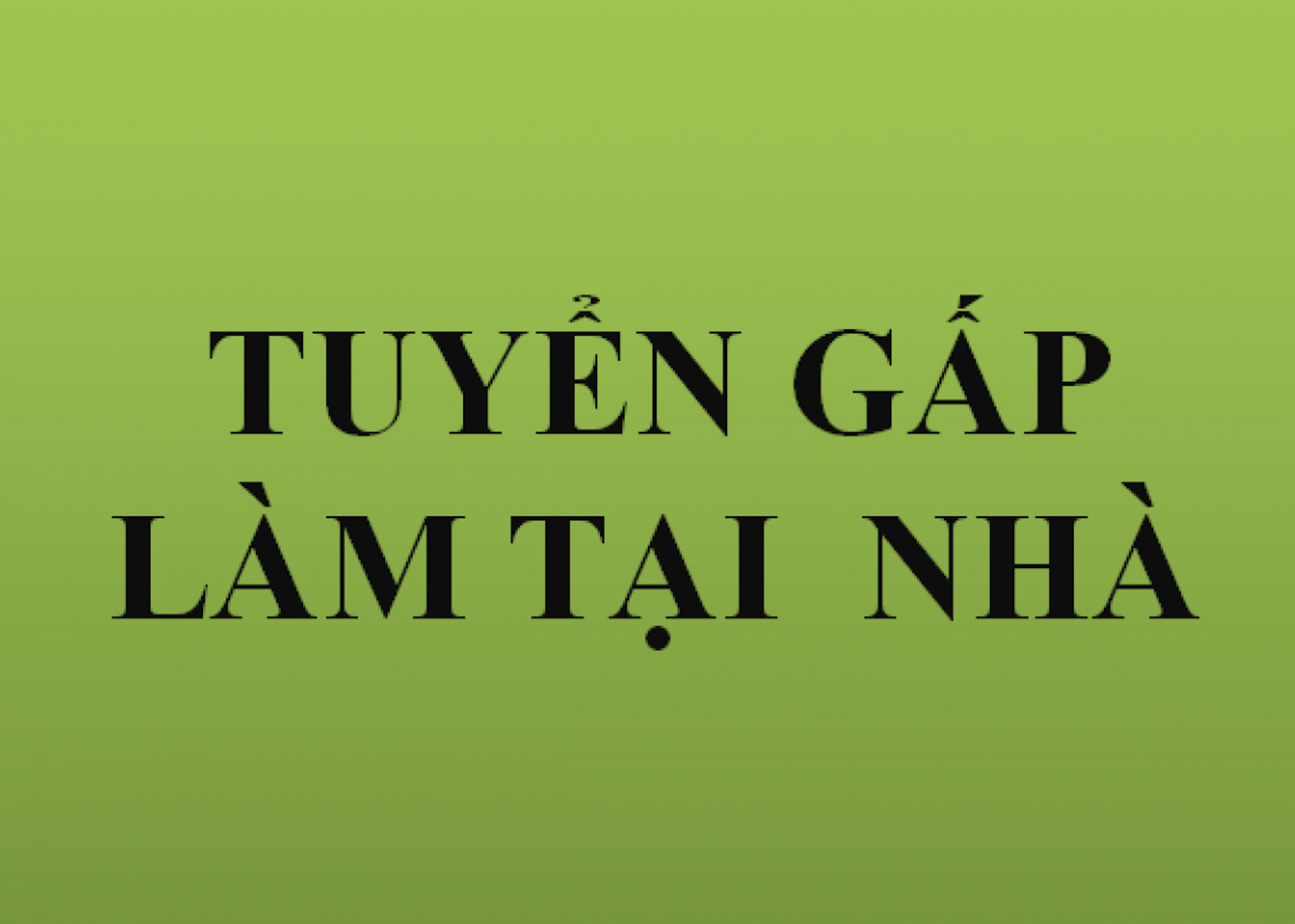lĩnh vực hoạt động